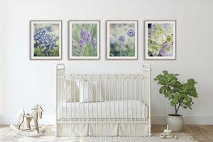 Lisa Russo Fine Art Nature Photography Purple French Country Florals | Nature Photography Art Prints Set of 4