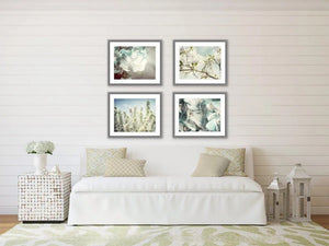 Lisa Russo Fine Art Nature Photography Shabby Chic Blue Floral Art Print Set - 4 Pieces - Pastel Flower Home Decor