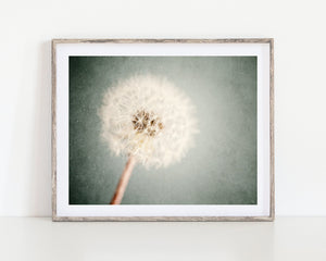 Lisa Russo Fine Art Nature Photography Shabby Chic Dandelion Floral Print in Pastel Blue and Ivory
