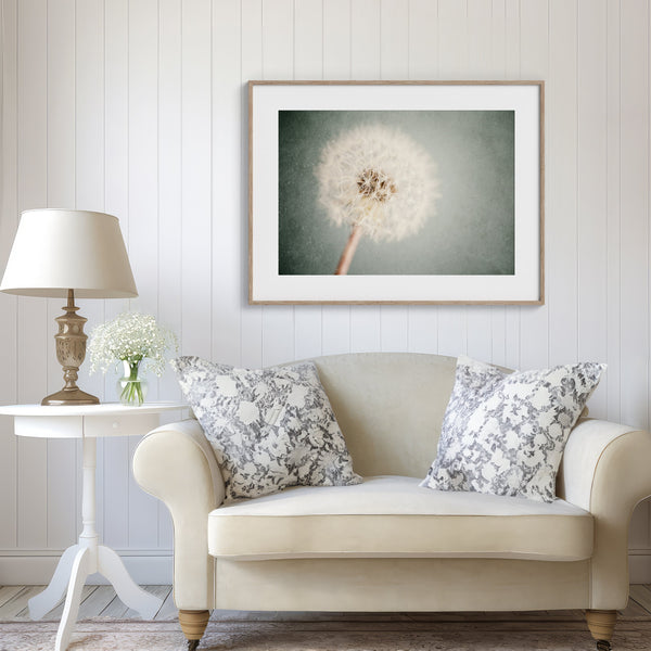 Lisa Russo Fine Art Nature Photography Shabby Chic Dandelion Floral Print in Pastel Blue and Ivory