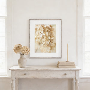 Lisa Russo Fine Art Nature Photography Shabby Chic Ivory Floral Wedding Hydrangeas Print