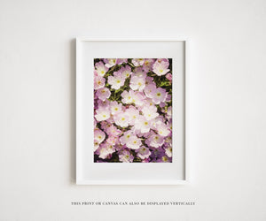 Pink Texas Wildflowers Print - Pretty Wall Art for Nature Lovers