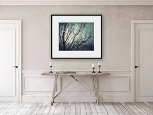 Lisa Russo Fine Art Nature Photography Twilight Dark Holiday Tree Abstract Print - Dramatic Holiday Decor