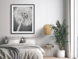 Lisa Russo Fine Art Nature Photography Warm Wishes | Black and White Dandelion Floral