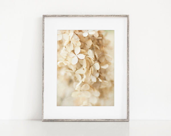 Shabby Chic Ivory Floral Wedding Hydrangeas Print