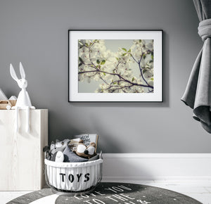 Lisa Russo Fine Art Nature Photography White Dogwood