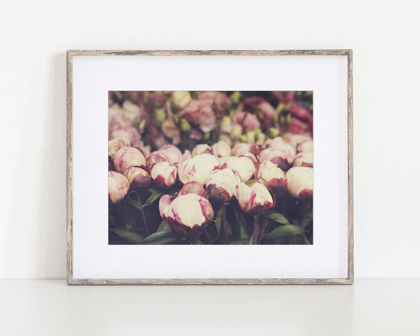 Paris Pink Peonies Flower Market Print - French Country Decor