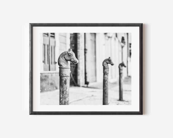 Lisa Russo Fine Art Travel Photography Copy of New Orleans | Horse Head Hitching Posts