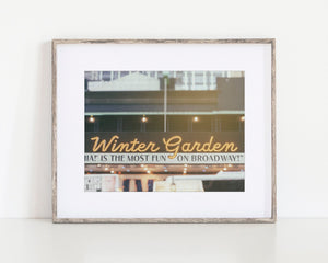 Lisa Russo Fine Art Travel Photography New York City | Broadway Winter Garden Theater