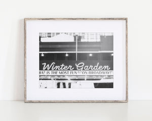 Lisa Russo Fine Art Travel Photography New York City | Broadway Winter Garden Theater