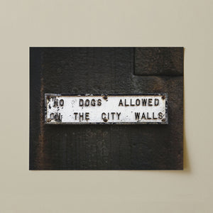 Lisa Russo Fine Art Travel Photography No Dogs Allowed York England Sign Print | Funny British Wall Art