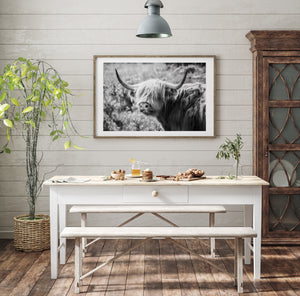 Lisa Russo Fine Art Travel Photography Scotland | Black and White Highland Cow