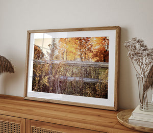 Rustic Fence with Vibrant Fall Orange, Red and Gold Colors