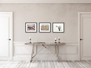 Farmhouse Scenes Art Prints Set of 3 - Rustic Country Home Decor