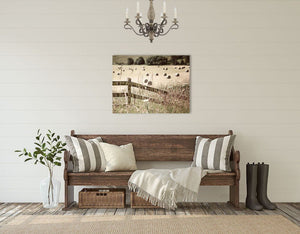 Scotland Hayfield Print - Scenic Pitlochry Landscape Art