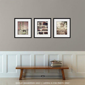 French Country Brick and Ivy Art Prints - Set of 3 - Neutral Tones