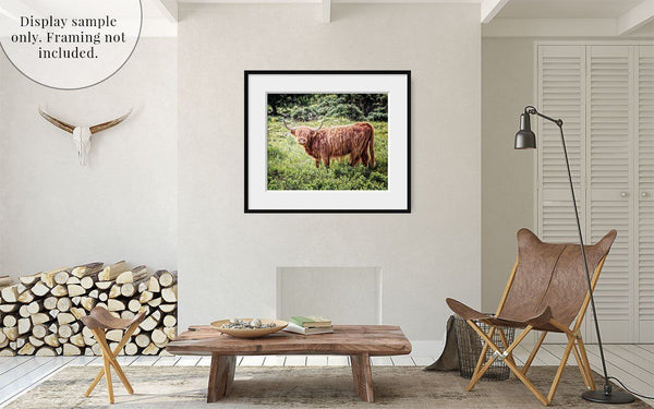 Scotland | Highland Cow Photographed in Glencoe Wall