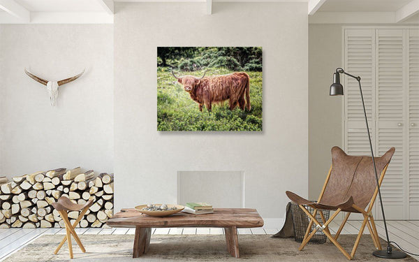 Scotland | Highland Cow Photographed in Glencoe Wall
