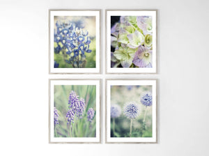 French Country Florals Art Prints Set of 4 in Black and White
