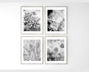 French Country Florals Art Prints Set of 4 in Black and White