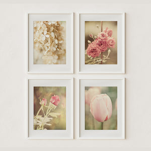 Pink Shabby Chic Floral Art Prints Set of 4 - Flowers for Home Decor