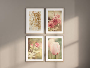 Pink Shabby Chic Floral Art Prints Set of 4 - Flowers for Home Decor