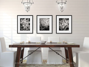 Kitchen Herb Art Prints Set of 3