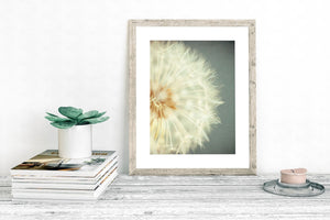 Dandelion Flower Print - Minimalist Wall Art