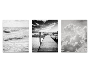 Minimalist Black and White Nature Art Print Set of 3 - Modern Wall Art