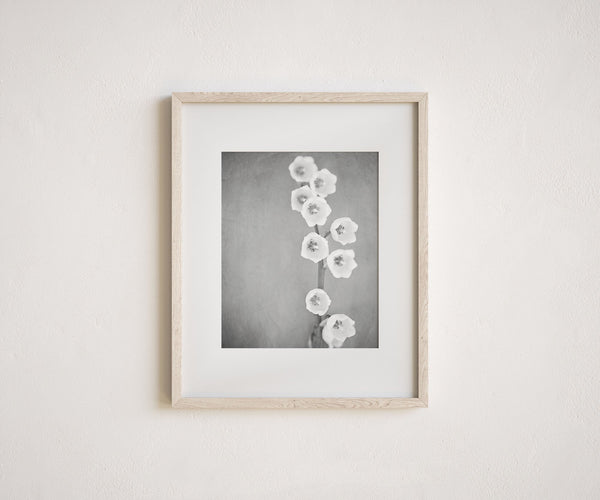Black and White Lily of the Valley Minimalist Art for Modern Decor